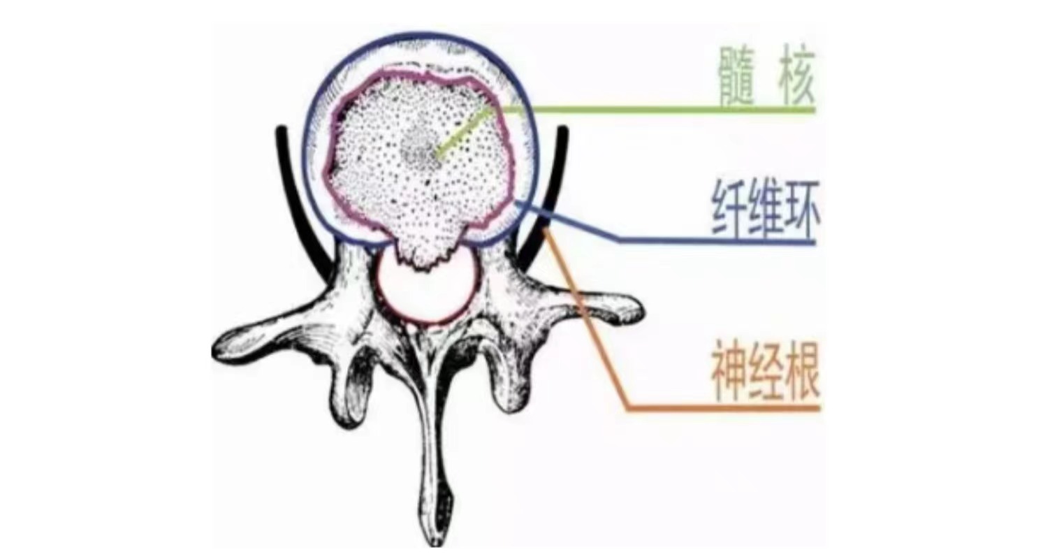 微信图片_20231220154645.jpg